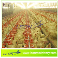 Leon Automatic Frango Feeding Equipamento avícola com CE